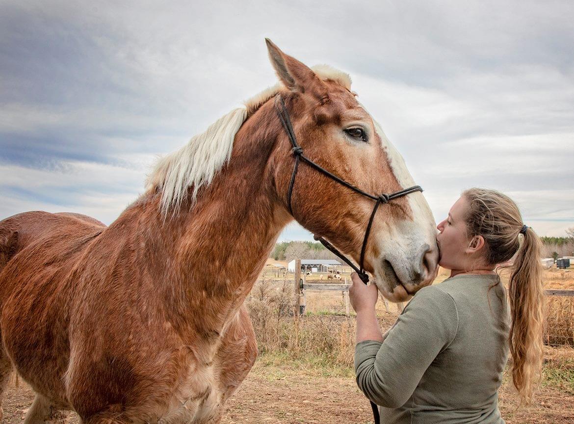 Horse Plus Humane Society Sign Up for Our Free Guide!